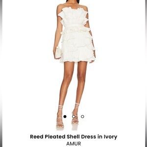 Amur- Reed Pleated Shell Dress in Ivory